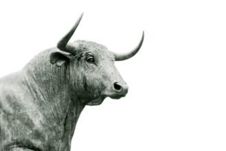 Can Immigrants Invest in the U.S. Stock Market?