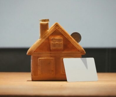 pauli-nie-DUwZP3JzVC4-unsplash