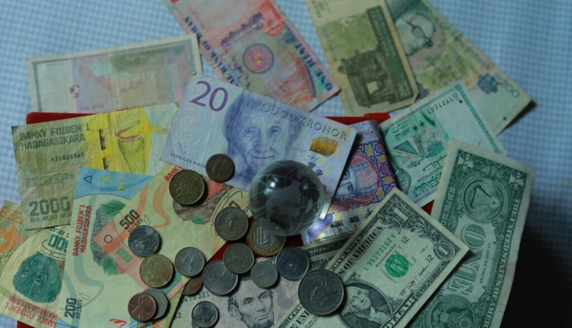 wilsan-u-Z1t4Dir-tz8-unsplash